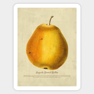 Auguste Benoist Butter With Details Sticker